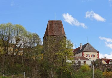 Tour Zu Fuß Gemeinde Zwettl-Niederösterreich - Naturfreundeweg 11 - Photo