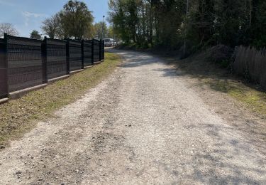 Tocht Stappen Dannemois - Le moulin des noues - Photo