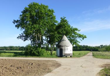 Tour Zu Fuß Gernsheim - Rundwanderweg Gernsheim Stockweg 5: Winkelbach-Weg - Photo