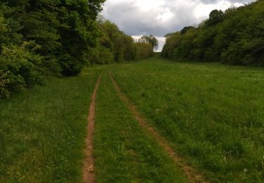 Trail Walking Souclin - 01 st sorlin en bugey - Photo