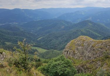 Excursión Senderismo Bitschwiller-lès-Thann - Arnaud et noemie - Photo