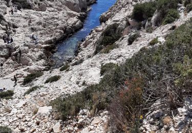 Randonnée Marche Marseille - Callelongue les trois arches - Photo