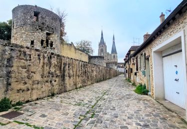 Randonnée Marche Arpajon - Linéaire Arpajon-Dourdan  - Photo