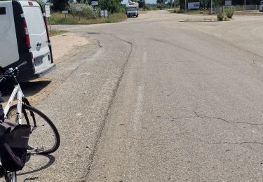 Randonnée Vélo de route Beaucaire - port St louis - Photo