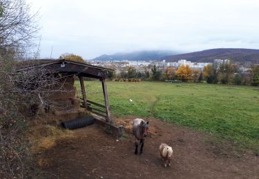 Tocht Noords wandelen Seyssins - Tour du Rocher de Comboire + AR Allée de la Balme au départ du terminus du tram C - Photo