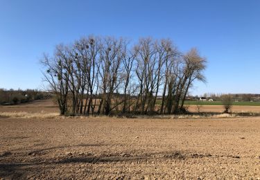 Tour Zu Fuß Ohey - Vers Jallet  par Haillot - Photo