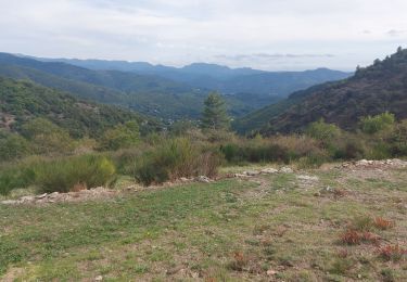 Trail Walking Aumessas - aumessas au col de mouzoules - Photo