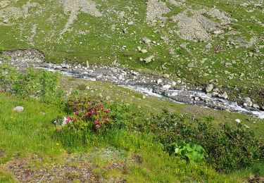 Tocht Stappen Aragnouet - le Badet - Photo