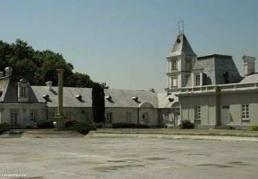 Tour Zu Fuß Wójtostwo - Kozienice - nordic walking niebieski - Photo