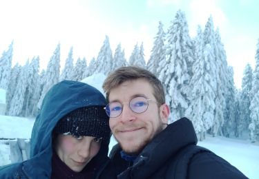 Excursión Raquetas de nieve Autrans-Méaudre en Vercors - La cheminée  - Photo