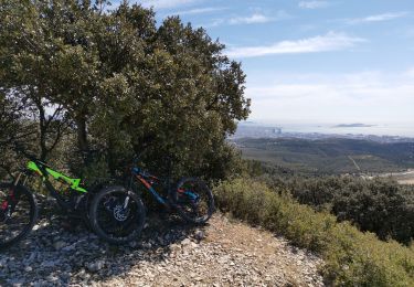Trail Mountain bike Septèmes-les-Vallons - l'étoile au départ de Septèmes  - Photo