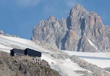 Tour Zu Fuß Chamonix-Mont-Blanc - Refuge Albert I - Photo