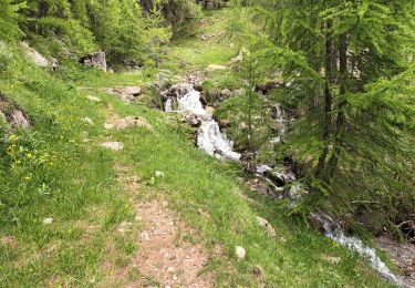Trail Walking Entraunes - Estenc rando 1  - Photo