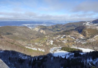 Tour Schneeschuhwandern Presles - le faz la lunette patente - Photo