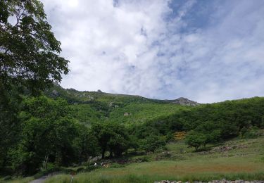 Randonnée Marche Valgorge - Le Tanargue - Photo