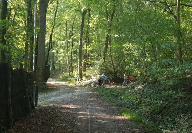 Trail Walking La Membrolle-sur-Choisille - 2020.09.17-8.1km-La Membrolle - Mettray - La Membrolle - Photo
