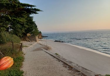 Tocht Stappen Fouesnant - GR34. Beg Meil  --  Concarneau (+visite de la Ville Close) - Photo