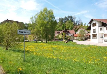 Randonnée A pied Miltach - A2 Altrandsberg – Moosbach – Altrandsberg - Photo