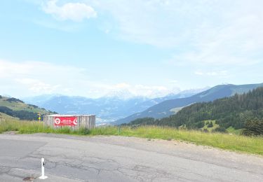 Randonnée sport Val-d'Illiez - Vtt électrique aux Portes du soleil  - Photo