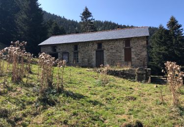 Randonnée Marche Fillols - FILLOLS à refuge BALAIG avant les Cortalets  - Photo