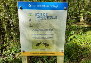 Tour Wandern Giffaumont-Champaubert - Bois de l'Argentolle  - Photo