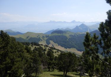 Tour Wandern Châtillon-en-Diois - Vallon Combau Pas de la Plane 11km - Photo