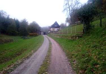 Trail On foot Kirchzell - Rundwanderweg Ottorfszelll 3 - Photo
