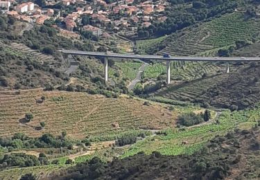 Tour Wandern Collioure - Collioure La tour de Madaloc - Photo