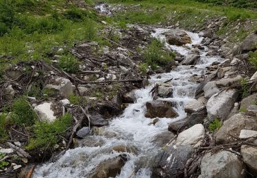 Tocht Stappen Val-d'Isère - Forêt du Fornet - Photo