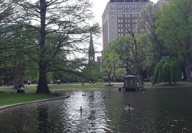 Tocht Stappen Onbekend - Balade au Public Garden à Boston  - Photo