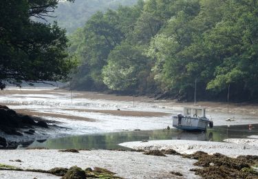 Tour Wandern Riec-sur-Bélon - Riec-sur-Bélon (Concarneau) - Photo