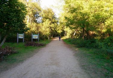 Trail Walking La Ville-aux-Dames - Île de la Métairie - 2016 03 13 - Photo