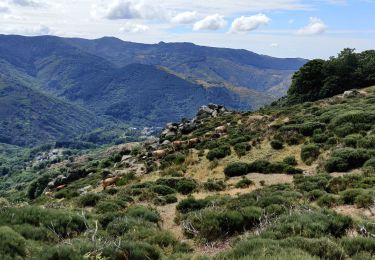 Tocht Stappen Saint-Sauveur-Camprieu - Camprieux - Photo