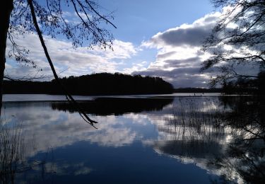 Randonnée A pied Angermünde - Uckermärker Landrunde - Photo