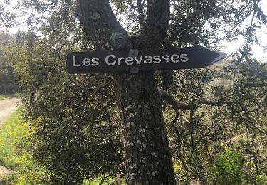 Trail Walking Chantemerle-lès-Grignan - Les Crevasses de Chantemerle lés Grignan Grignan - Photo