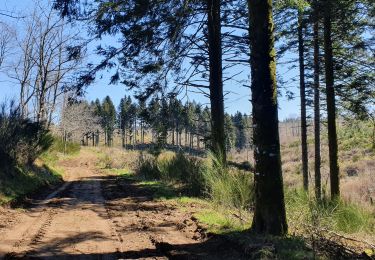 Trail Walking Les Cammazes - A partir du Lac des Cammazes - Photo