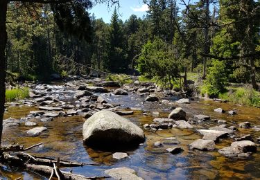 Tour Wandern Bolquère -  Bolquère .Petit Canada Pla de Barrès - Photo