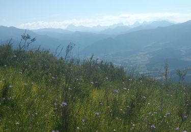 Randonnée Marche Rimon-et-Savel - Rimon-et-Savel Drôme 12 juillet 2020 CKCC - Photo