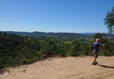 Tocht Stappen Les Arcs-sur-Argens - l'apié de raybaud - Photo