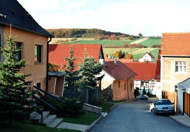 Trail On foot Sangerhausen - Sangerhausen Lengefeld Morungen - Photo