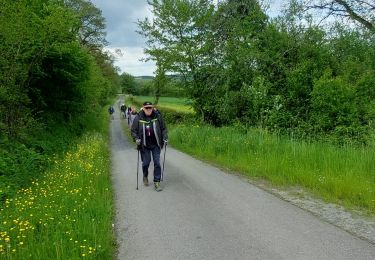 Tour Wandern Sivry-Rance - RANCE (musée du marbre) - Photo