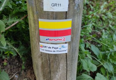 Trail Walking Igny - Vauboyen depuis Igny et la forêt de Verrieres - Photo