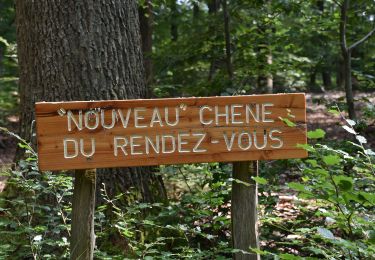 Trail Walking Baelen - 20210719 - Chêne du rendez-vous - 8 Km - Photo