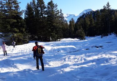 Tocht Stappen Chamrousse - chamrousse, plateau Arcel - Photo