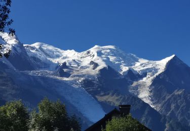 Tour Wandern Chamonix-Mont-Blanc - CHAMONIX ... le chalet de la Floria. - Photo