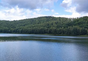 Tour Wandern Stablo - Tour du lac de Coo   - Photo