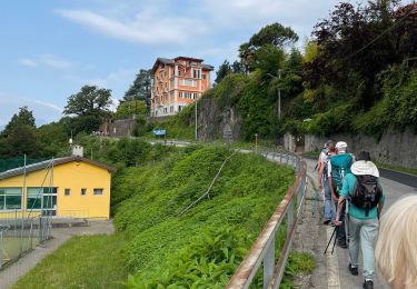 Tour Wandern Miazzina - 18.06.2023 - Miazzina - Le Lac Majeur et ses alpages - Photo