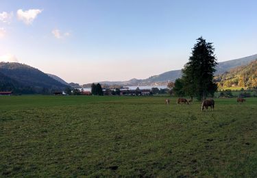 Percorso A piedi Schliersee - Brecherspitz - Photo