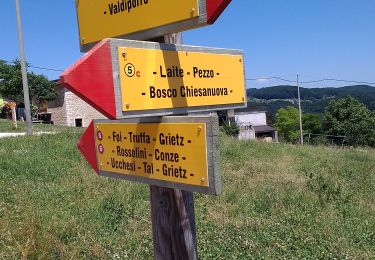 Excursión A pie Bosco Chiesanuova - Percorso n. 6 - Photo