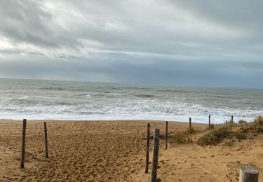 Excursión Senderismo Les Sables-d'Olonne - Balade marais sauvetaire - Photo